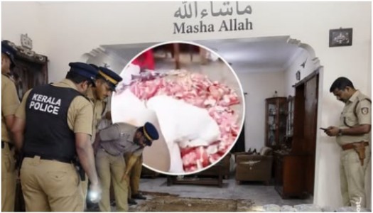 Viral video: 'Masha Allah' house holds Hamas-style tunnel, drugs; Know what a Hamas-style tunnel is