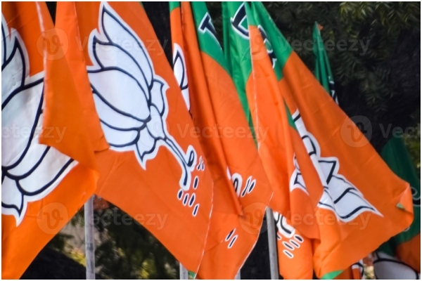 BJP Rejig: Energy Meets Experience, Beyond Dynasty