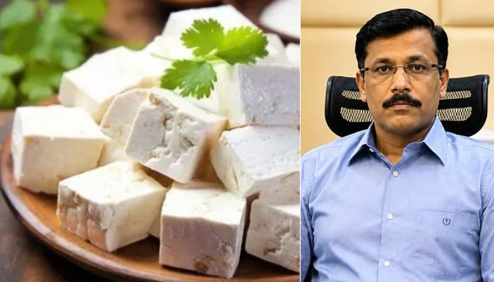 analog paneer
