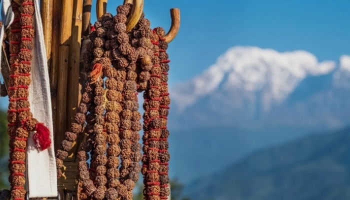 Rudraksha