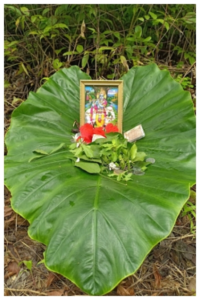 Krishna Janmashtami